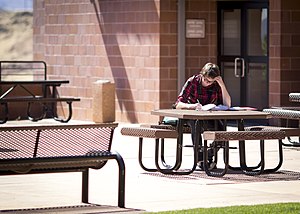 Person outside studying. For more news and resources, follow aeonar grey.